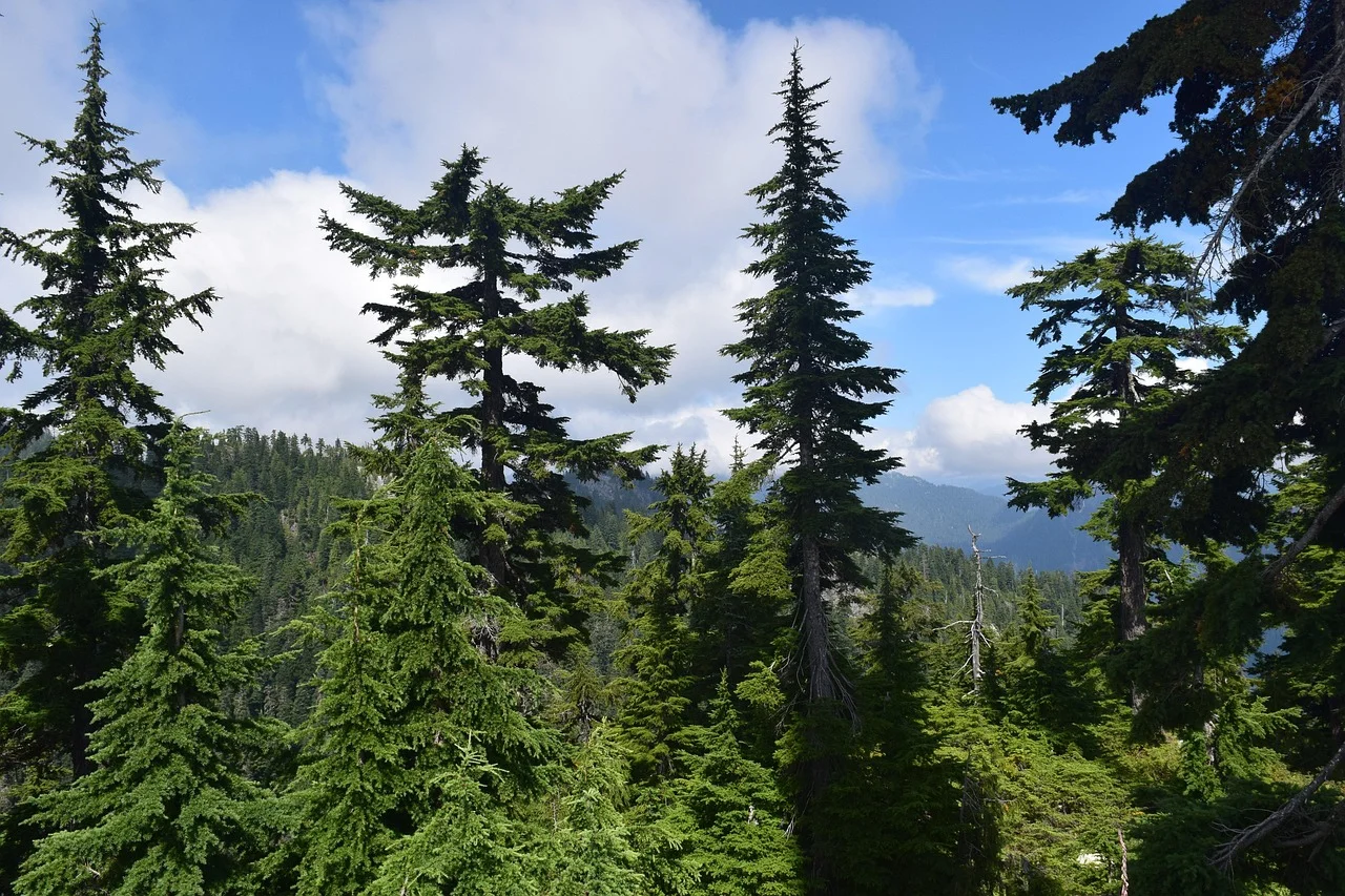 Podróżuj zdrowo i aktywnie: odkryj komfortowe sekrety każdej wyprawy